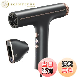 �y���������zAINX �w�A�h���C���[ �啗�ʍő�2.26 /�� �É� ���� �y��320g ���x��5��Water ion(�v���X�C�I�����}�C�i�X�C�I�� ��M�� �����\�u���V���XDC���[�^�[ ���ɗD���� 3�̃��[�h 4�i�K����