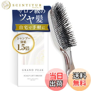 �y���������z�y���񂽂񓪔�P�A���c�����zGrand Peak �w�A�u���V ���[�|�[�`�t�� �X�J���v���t�g�u���V �����ї\�h ��� �}�b�T�[�W ���t�g�A�b�v �����C�p �����Y ���f�B�[�X �F�F�V���o�[