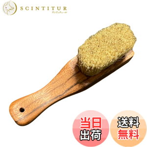 �y���������zSHINE-BRUSH �{���_�����O�u���V �ؖ� ���� SS�R���p�N�g �ؐ��̎����� �V���G�[�u���V �F�F�ؖځA�T�C�Y�F�R���p�N�g