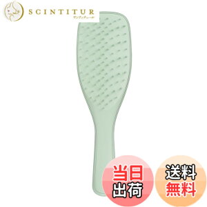 �y���������zTANGLE TEEZER �G�N�X�g�� �W�F���g�� �F�F���[�J���O���[���A�T�C�Y�FW65xH220xD30mm