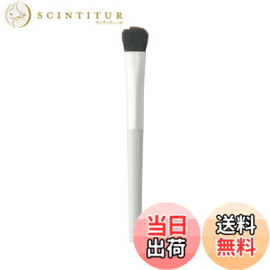 �y���������zMUJI ����Ǖi �|���G�X�e���A�C�J���[�u���V OGB45A1A �F�F����