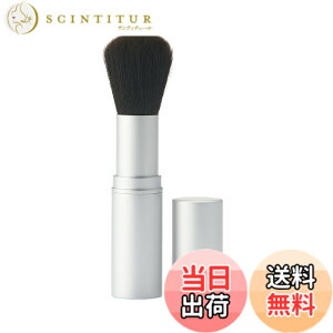 �y���������zMUJI ����Ǖi �|���G�X�e���g�їp�t�F�C�X�u���V OGB51A1A �F�F�V���o�[