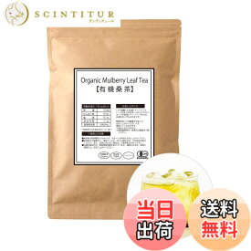 【送料無料】桑専門店 わくわく園 有機桑茶 ティーバッグ 国産 桑の葉茶 オーガニック 無農薬 ノンカフェイン 健康茶 自社焙煎 サイズ：60包