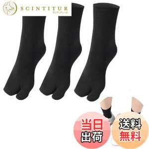 yz[WinsGreat]  \bNX 3g C 2{w w\bNX  n RۖhL z ʋC Y fB[X t[TCY O΍   El T_ FF3g-ub