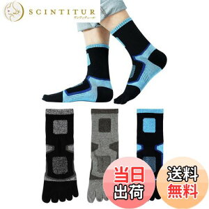 yz[Yazon] ܖ{w\bNX Y  X|[c C St Ro ƗpjO\bNX 5{w jp JWA X|[c\bNX ʋC z ėpbV ܖ{wC