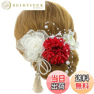 yzyJZOON z 6_Zbg wAANZT[ wACN hCt[ Us wAs    Ȍ a    VtH{̉Ԃт z F