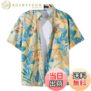 yz[Moerstar] AnVc Y AnVc fB[X J݃Vc  Vc Y eqyAbN  y   rb` s F FFF1123ATC