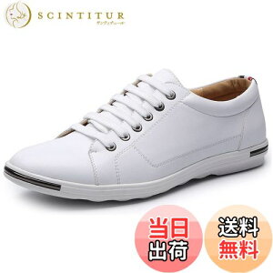 yz[Lopis] y Xj[J[ Y tFCNU[  V[Y [Jbg lC C ʋ ʊw jp  Sn FFzCgATCYF26.5 cm