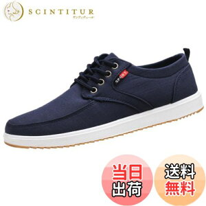 yz[Lopis] Y Xj[J[ y V[Y [Jbg JWA LoX C EH[LOV[Y  ɂ Sn FFlCr[ATCYF24.5 cm