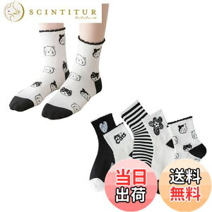 yz[FASELE] C fB[X  \bNX qp wlp\bNX N[\bNX  ԕ X|[c  Rbg  ʋC _炩 t H~ I[V[Y ~bh`