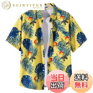 yz[Moerstar] AnVc Y 傫TCY AnVc fB[X J݃Vc  Vc Y N[  ʋC ĕ eqyAbN  rb` s C