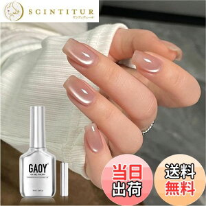 yzGAOY }OlbglC WFlC PF UVELEDΉ |bV^Cv ZtlC S&vKp FFACV[k[h