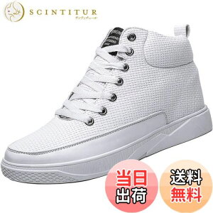 yz[ziitop] V[NbgV[YKp 6cm/8cmgAbv Y fB[X V[NbgXj[J[ nCJbgXj[J[ Y JWA jOV[Y X|[c y C 