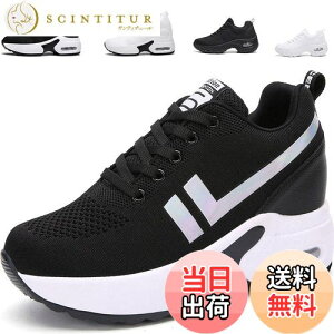 yz[ziitop] Xj[J[ fB[X Cq[Xj[J[ EH[LOV[Y r V[NbgV[Y y V[Y [XAbv 8cm q[Abv r ɂ 