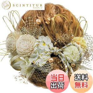 yz[JZOON] 8FWJ hCt[  _A ԏ a wAANZT[ l  U  Ǝ ܎O    ݑ a   FFp[z