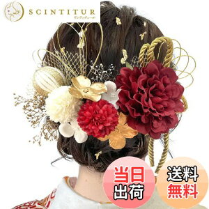 yz[JZOON] 8FWJ hCt[  _A ԏ a  wAANZT[ l S[h  wbhp[c  U  Ǝ ܎O    