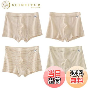 yz[Youngfull] 4Zbg j̎q {NT[ pc I[KjbNRbg qD R hL ʋC _炩 LbY Ci[ {[CY u[t pc WjA V[c  Z