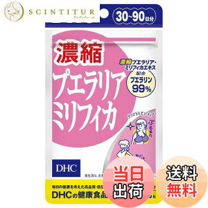 yzDHC ZkvGA~tBJ FFȂATCYF90 (x 1)