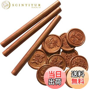 yzneliege V[ObNX XeBbN 11mm 10{Zbg 37F O[K X _ TCYFR[q[S[h