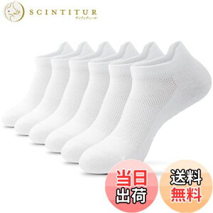 yz[banerise] C fB[X ~ K\bNX yܐ̕ی90%ȍRۋzz seBX Ȃ X|[c\bNX FF3 zCg bVATCYF22.0-25.0 cm