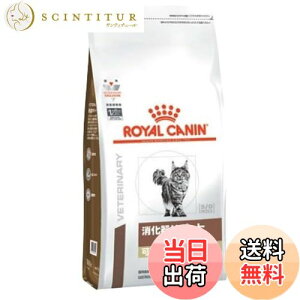 yzCJi HÖ@H Lp T|[g n@ hC 500g