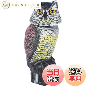 yzUhtNEu, AȖڂ̑t, EJXEXYޗp, 뉀Ex_p FFO[AԒFAF