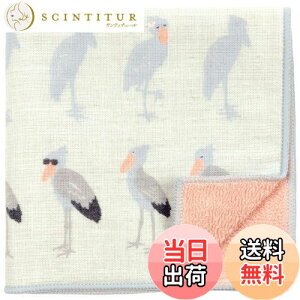 yz_l aZ~EHbVi^InJ`j nVrRE sN FFO[ATCYFTCY