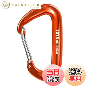 yzTITECOUGO y ω׏d 12KN(1200kg) Jri oRt @\[L[z_[ELvEnbN Ȃ]5FA1A2A4 FFD1200kg IWATCYF1 