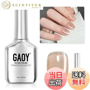 yzGAOY }OlbglC WFlC PF UVELEDΉ |bV^Cv ZtlC S&vKp FF₫x[W