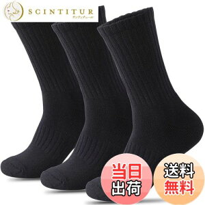 yz[HWVICTORYV] C Y X|[c\bNX  pC R hL  3Zbg 24-27cm  jO \bNX oXP oR Ɨp WjA w n  FF3 