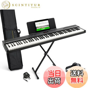 �y���������zAlesis �d�q�s�A�m 88���� Recital Play & Recital Black �F�F�A�N�Z�T���[�t���A�u���b�N�A�T�C�Y�F�A�N�Z�T���[�t��