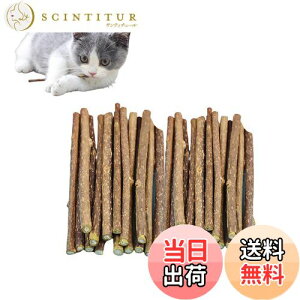 yzGOODCHI L_ } VR Y qL𚐂 얞 L̃N[jOXeBbN ރXeBbN 30{