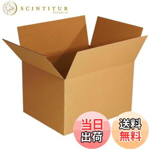 yzfBYvX { _{[ z 120TCY i{[ 5Zbg z 120 dD3-5 FFNtgATCYF5