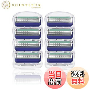 yzbenriiWbgΉ t[W 5+1 ֐n Fusion J~\ E J~\֐n ւn(u[) FFu[