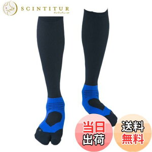 yz[e[W] AX[gEhPRO(v) v2 St\bNX (25-27cm, u[) { Y/fB[X ~ iK nC\bNX Stp C IF37 FFu[