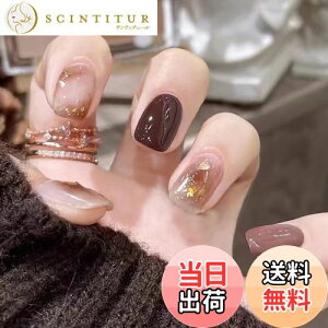 yzh~ lC`bv 24 oG x[V[g lC lCV[  킢 t 3D Eh`bv t@bV lC  ԉŃlC FFR617ATCYFf