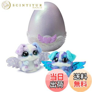 yz^Jg~[ ܂! E[ ACu pbpfB[ FFpbpfB[