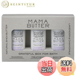 yz}}o^[ OCgt{bNX tH[oXiVv[&g[gg&{fB\[ve50mlZbgjx_[J~[̍yTvtz FFO[