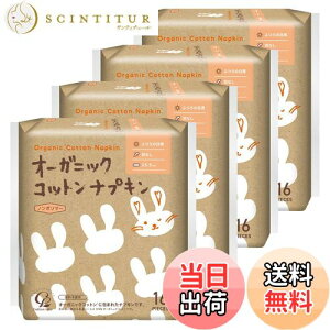 �y���������z�I�[�K�j�b�N�R�b�g���i�v�L���y�܂Ƃߔ����z �T�C�Y�F�H�Ȃ�25.5cm/64����