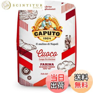 yzCAPUTO(Jv[g) TbRb\ NI[R 1kg 1 TCYF1LO (x 1)