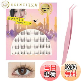 【送料無料】つけまつげ のり不要 【日本国内JIS基準検査済み】グルーなしつけまつげ グルー不要 つけまつ毛 3Dつけまつげ 接着剤不要 ブラック 1秒マツエク 部分つけまつげ 初心者 で簡単装着 立体感 可愛い 自然な束感 人気 耐久性が高い アイメー 色：02束感ドールeye