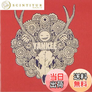 �y���������zYANKEE(�ʏ��) - �ĒÌ��t