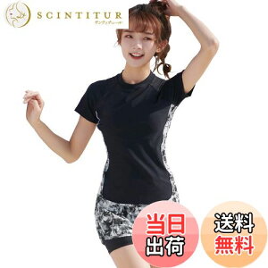 yz[Teddy] tBbglX  fB[X Zp[g ̌^Jo[ V[gpc bVK[h jX 3_Zbg hys2405 FFOFmNATCYF5L