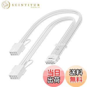 �y���������zFasgear PCI-e 5.0 12VHPWR�����P�[�u���A30cm/1�t�B�[�g 16(12+4)�s���I�X-PCIE 5.0 2x8(6+2)�s�����X �X���[�u�t�������R�[�h�AGeForce RTX 4070,4080,4090�p4�R�[��16AWG GPU�P�[�u���Ή�(�z���C�g)