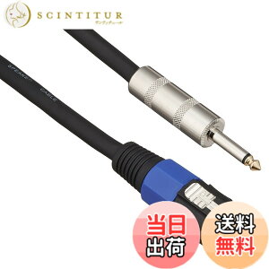 �y���������zTRUE DYNA �g�D���[�_�C�i �X�s�[�J�[�P�[�u�� 4�c TDSP-10SCP (1m �X�s�R���^�C�v/Phone)