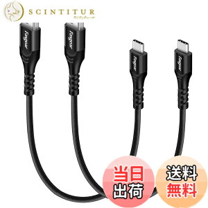 �y���������zFasgear USB C�P�[�u���A2�p�b�N 30cm USB Type C 2.0�P�[�u�� �}���[�d�ƍ����f�[�^�]�� Moto G6 G7 Galaxy S8 S8+ S9 Oneplus 7 7pro Sony Xperia L1 XA2 Huawei P20 Lite�Ή� (�u���b�N)