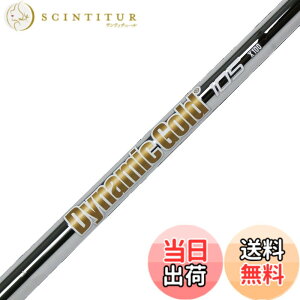 �y���������zTruetemper(�g�D���[�e���p�[) �V���t�g Dynamic Gold �_�C�i�~�b�N�S�[���h105 �A�C�A���V���t�g �Ԏ� #5 X100 Flex �P�i DG105IX5