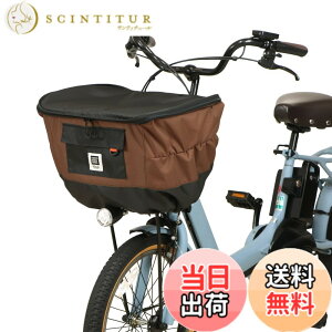 �y���������zMARUTO(�}���g) 2�i������O�J�S�J�o�[�@Penta�@D�|2F�|600�@�`���R