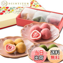 楽天市場】チョコレート トリュフ（3個入り）の通販