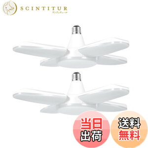 �y���������zJornarshar �K���[�W���C�g LED �y���_���g���C�g ���� 80W 6000lm LED�d�� 6500K �V��Ɩ� ��t�ȒP �H���s�v �p�x���߉\ �Ԍ� �q�� �[�� ��Ɠ� �����F 2��
